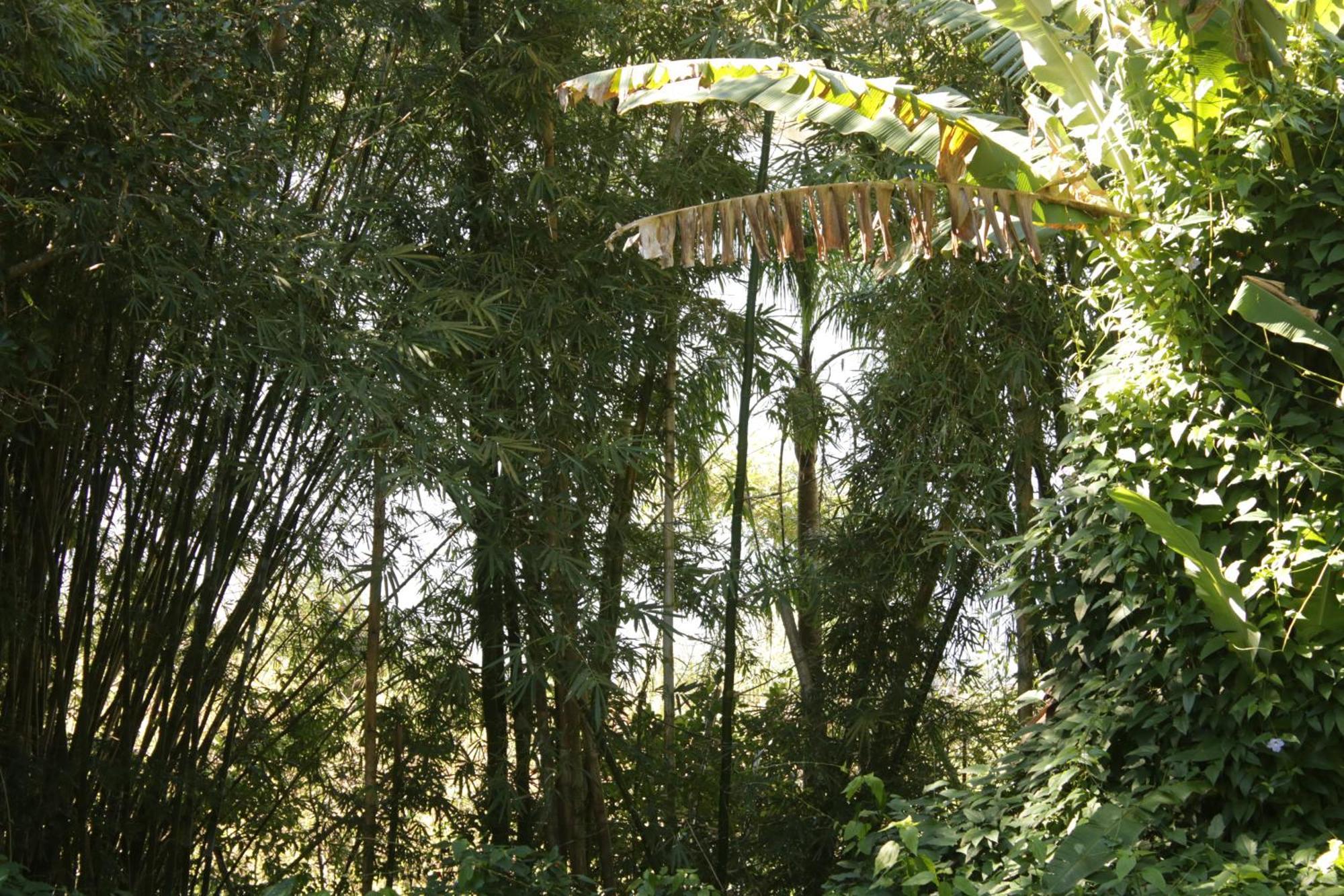 Coracao Da Terra プライア・ド・ローザ エクステリア 写真